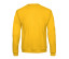 SET IN SWEATSHIRT ID202 50/50