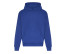 SIGNATURE HEAVYWEIGHT HOODIE