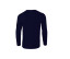 SOFTSTYLE ADULT LONG SLEEVE T-SHIRT