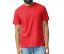 SOFTSTYLE CVC ADULT T-SHIRT