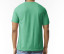 SOFTSTYLE CVC ADULT T-SHIRT